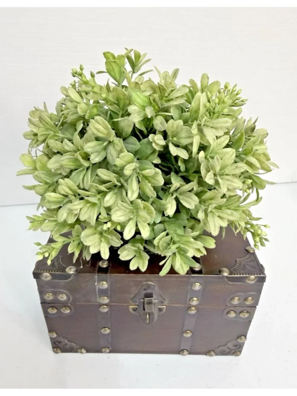 Wooden Storage Chest Box Decor with Greenery